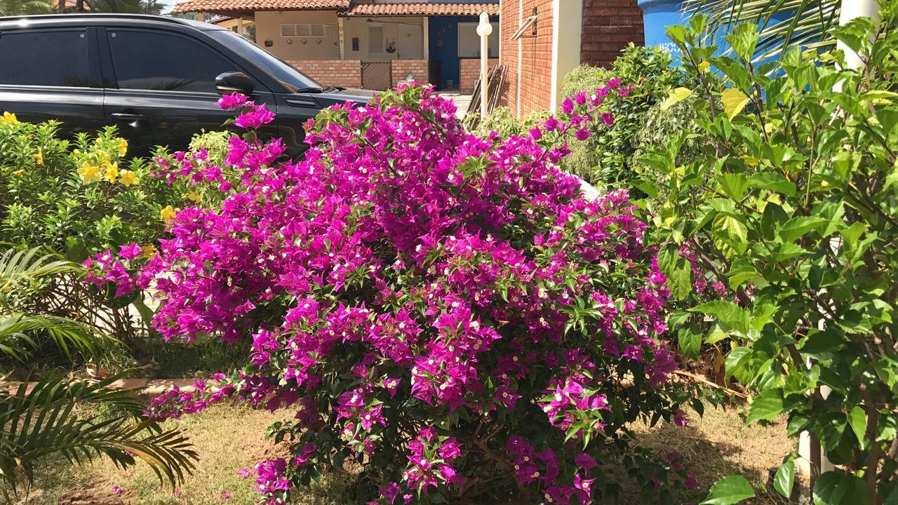 Chale Temporada Porto Dos Lencois - Lencois Maranhenses Villa Barreirinhas Bagian luar foto